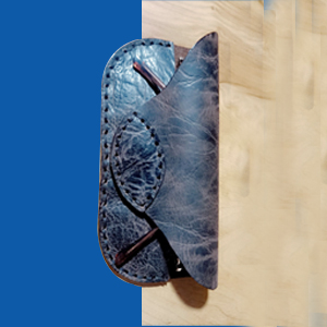 Shades & Eyewear Cover